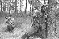 Soviet guerilla.jpg