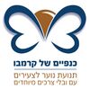 לוגו כנפיים של קרמבו.jpg