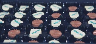 פרלינים שחולקו לאורחים (בייצור ע"י יערה ועינת מכל-זכות!!!)