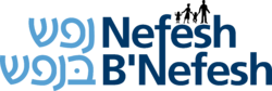 NBN logo.png