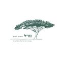 תמונה ממוזערת לגרסה מ־12:22, 18 בינואר 2024