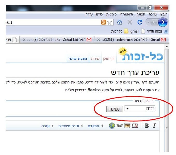 קובץ:Tavnit.jpg