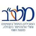 תמונה ממוזערת לגרסה מ־18:11, 5 במרץ 2013