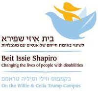 Issie Shapiro Logo.jpg